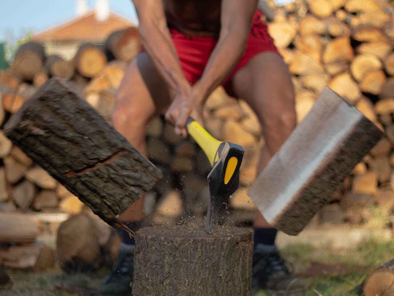 Best Tree Cutting Near Me  in USA